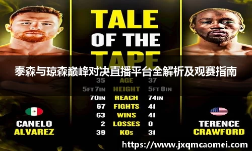 泰森与琼森巅峰对决直播平台全解析及观赛指南